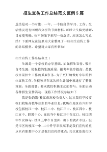 招生宣传工作总结范文范例5篇