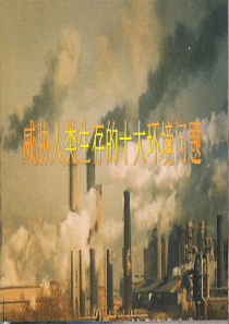 威胁人类健康的十大环境问题