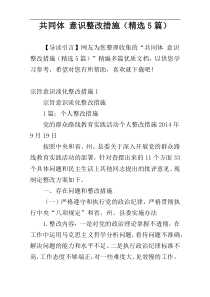 共同体 意识整改措施（精选5篇）