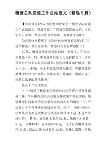 稽查总队党建工作总结范文（精选5篇）