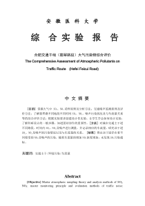 安徽医科大学大气污染综合评价B2组
