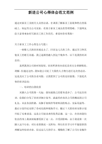 新进公司心得体会范文范例