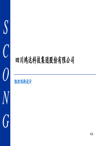 鸿达科技集团组织结构设计研讨会议
