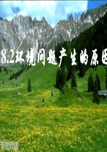 82环境问题产生的原因