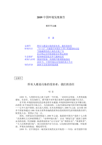 XXXX中国环境发展报告
