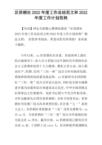 区供销社2022年度工作总结范文和2022年度工作计划范例