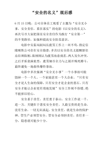 “安全的名义”观后感
