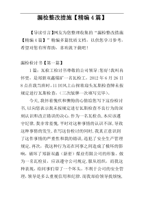 漏检整改措施【精编4篇】