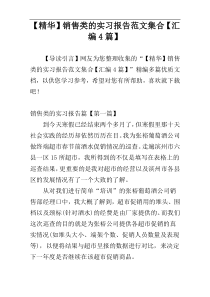 【精华】销售类的实习报告范文集合【汇编4篇】