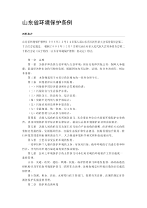 山东省环境保护条例