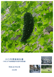 川口市环境报告书