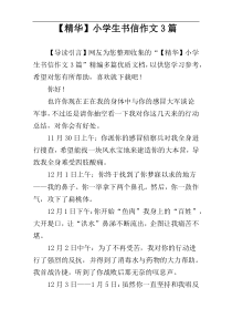 【精华】小学生书信作文3篇