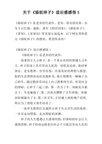 关于《骆驼祥子》读后感感悟5