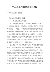 个人月工作总结范文【精】