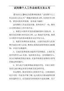 试用期个人工作总结范文怎么写