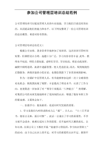 参加公司管理层培训总结范例