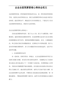 企业全面预算管理心得体会范文