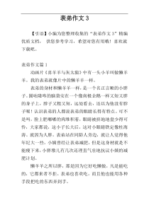 表弟作文3