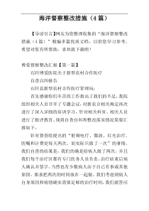 海洋督察整改措施（4篇）