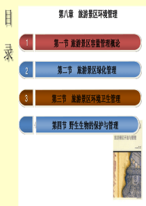 景区环境管理