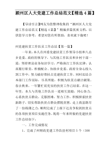 颍州区人大党建工作总结范文【精选4篇】