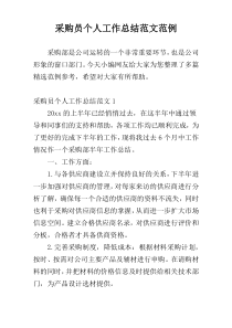 采购员个人工作总结范文范例