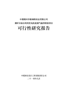 格瑞特超净排放可研3