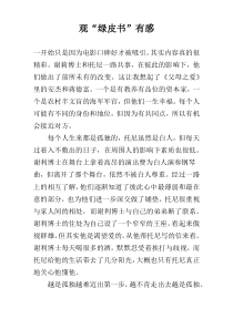 观“绿皮书”有感