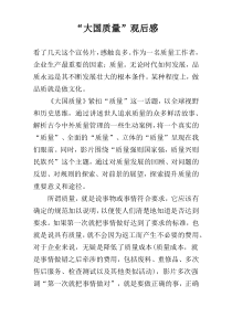 “大国质量”观后感