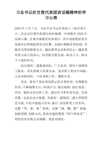 习总书记在甘肃代表团讲话稿精神的学习心得