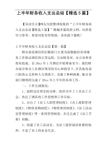 上半年财务收入支出总结【精选5篇】