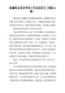 新疆职业培训学校工作总结范文（精选4篇）