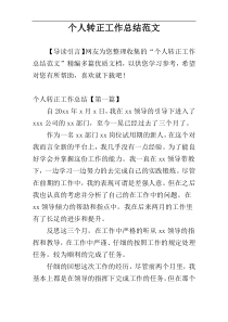 个人转正工作总结范文