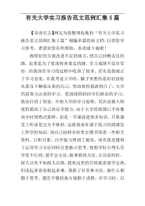 有关大学实习报告范文范例汇集5篇