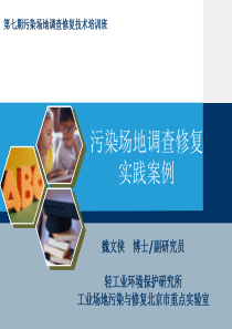 污染场地调查修复实践案例-魏文侠