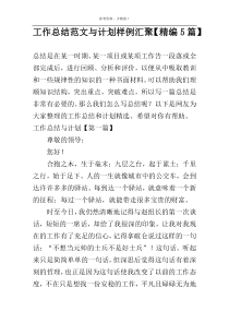 工作总结范文与计划样例汇聚【精编5篇】