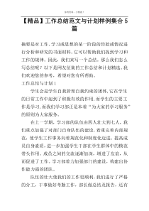 【精品】工作总结范文与计划样例集合5篇