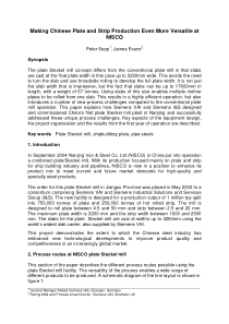 48-paper-Making Chinese Plate and Strip Production