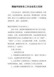 精编学校财务工作总结范文范例