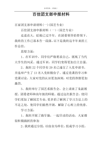 百佳团支部申报材料