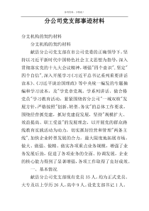 分公司党支部事迹材料
