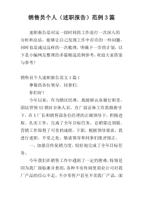 销售员个人（述职报告）范例3篇