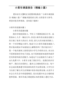 小黄车调查报告（精编3篇）
