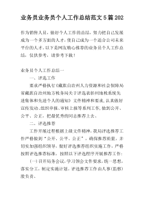 业务员业务员个人工作总结范文5篇202