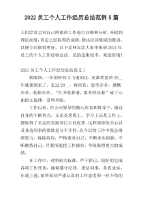 2022员工个人工作经历总结范例5篇