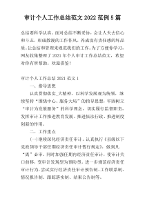 审计个人工作总结范文2022范例5篇