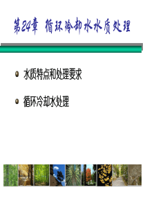 环境保护和可持续发展