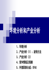 环境分析和产业分析（PPT 36页）