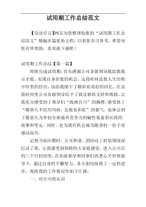 试用期工作总结范文