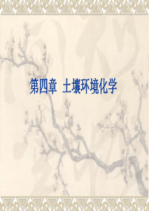 环境化学课件(第四章土壤环境化学)